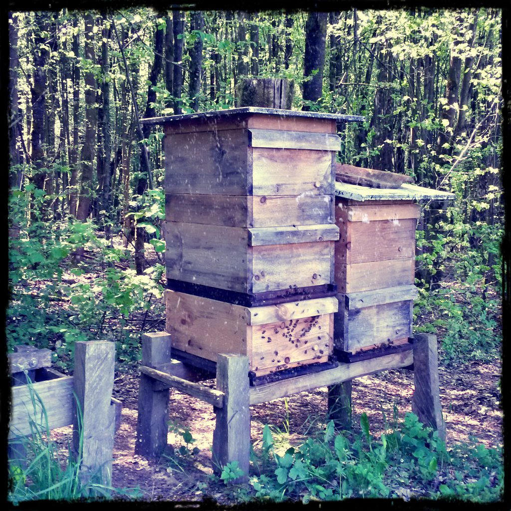 Bienenstand
